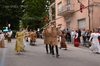 Immagine <b>REG_8658</b>