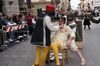 Immagine <b>REG_8841</b>