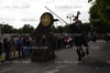 Immagine <b>REG_8275</b>