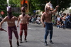Immagine <b>REG_8287</b>
