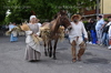 Immagine <b>REG_8340</b>