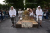 Immagine <b>REG_8346</b>