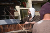 Immagine <b>REG_8356</b>